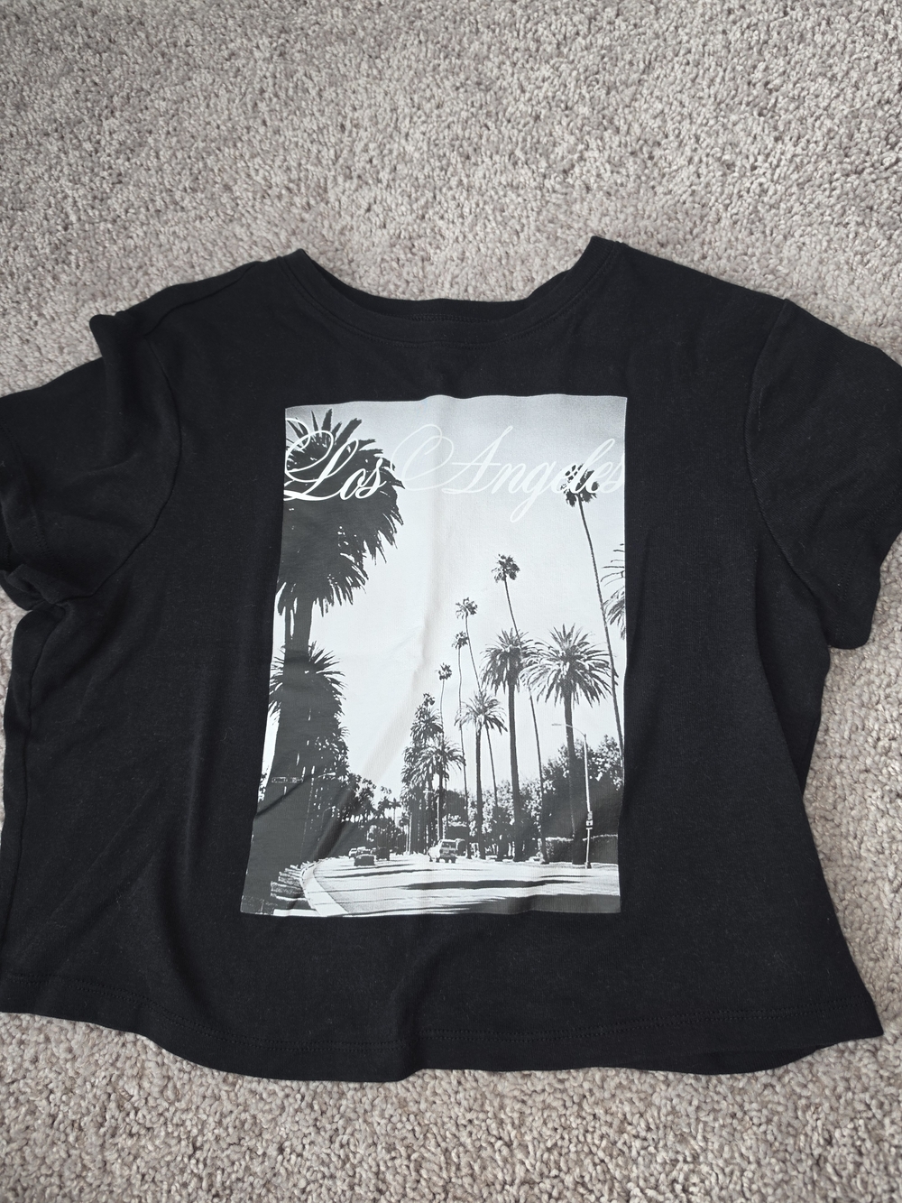 No Boundaries Black Los Angeles Palm Graphic Tee